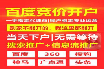 竞价广告的投放时机与频次选择——基于案例的探讨